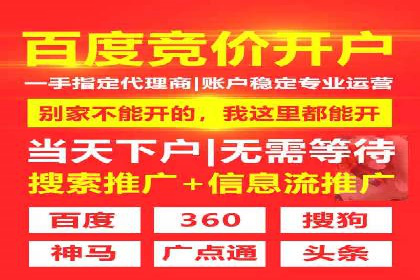 行业领先企业的SEM服务托管策略案例